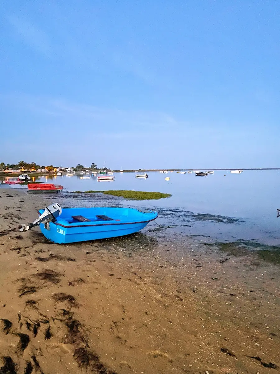 Barco azul na areia da ria
