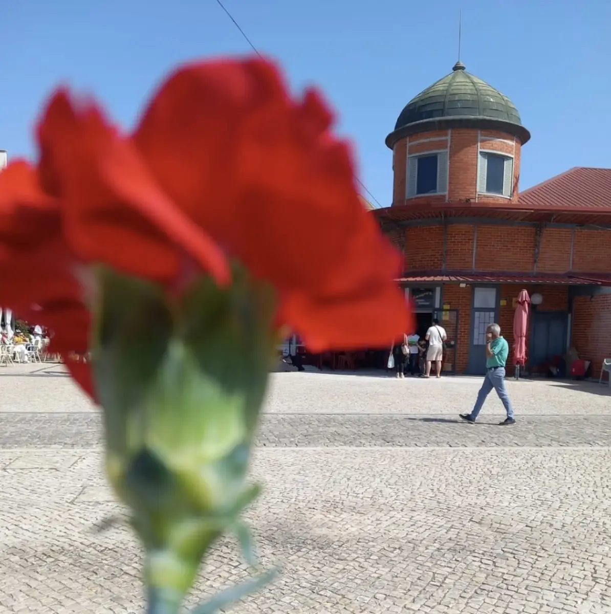 Cravo vermelho em frente ao mercado
