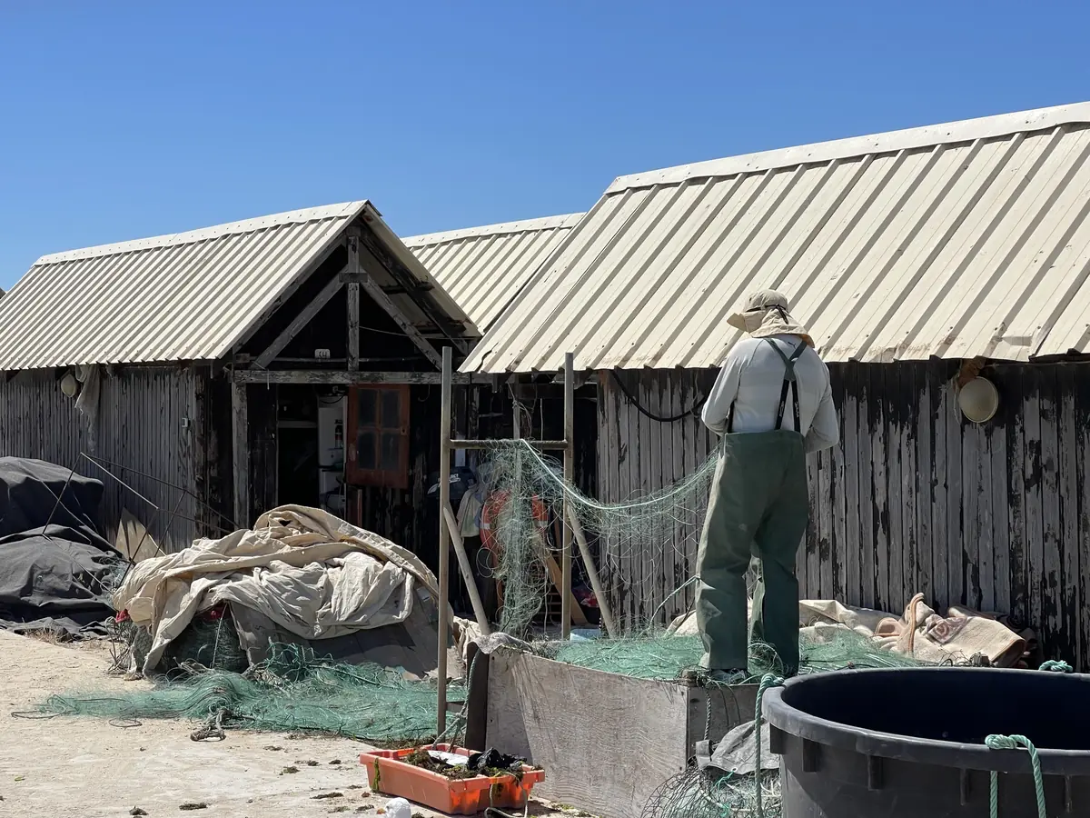 Pescador a arranjar redes junto aos armazéns da Culatra